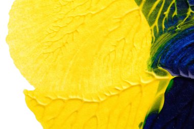 mavi yeşil soyut akrilik boya renk dokusu beyaz kağıt arkaplan üzerinde rorschach mürekkep lekesi yöntemi kullanılarak