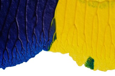 mavi yeşil soyut akrilik boya renk dokusu beyaz kağıt arkaplan üzerinde rorschach mürekkep lekesi yöntemi kullanılarak