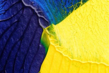 mavi yeşil soyut akrilik boya renk dokusu beyaz kağıt arkaplan üzerinde rorschach mürekkep lekesi yöntemi kullanılarak