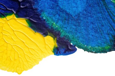 mavi yeşil soyut akrilik boya renk dokusu beyaz kağıt arkaplan üzerinde rorschach mürekkep lekesi yöntemi kullanılarak