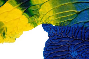 mavi yeşil soyut akrilik boya renk dokusu beyaz kağıt arkaplan üzerinde rorschach mürekkep lekesi yöntemi kullanılarak