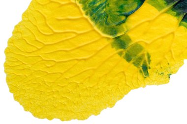 mavi yeşil soyut akrilik boya renk dokusu beyaz kağıt arkaplan üzerinde rorschach mürekkep lekesi yöntemi kullanılarak