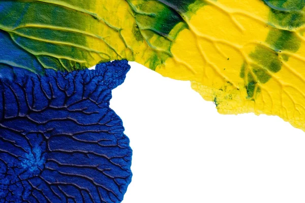 mavi yeşil soyut akrilik boya renk dokusu beyaz kağıt arkaplan üzerinde rorschach mürekkep lekesi yöntemi kullanılarak