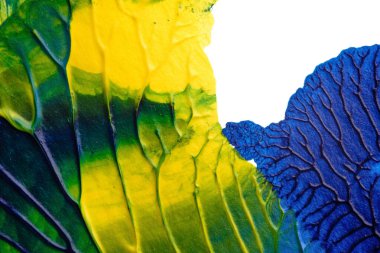 mavi yeşil soyut akrilik boya renk dokusu beyaz kağıt arkaplan üzerinde rorschach mürekkep lekesi yöntemi kullanılarak