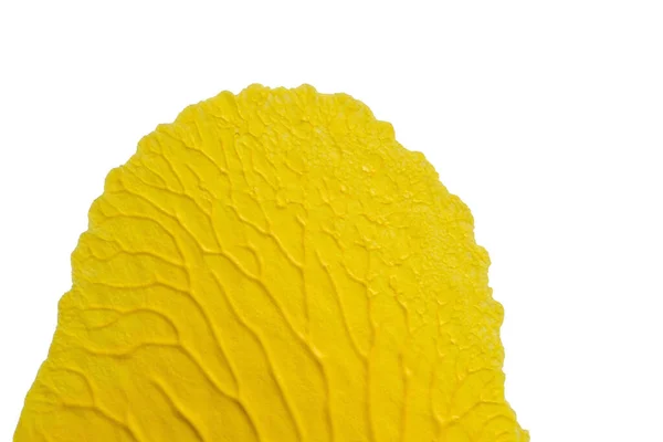 Blau Grün Gelb Abstrakt Acrylmalerei Farbe Textur Auf Weißem Papier — Stockfoto