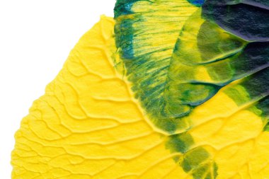 mavi yeşil soyut akrilik boya renk dokusu beyaz kağıt arkaplan üzerinde rorschach mürekkep lekesi yöntemi kullanılarak