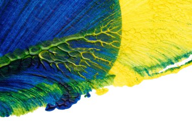 mavi yeşil soyut akrilik boya renk dokusu beyaz kağıt arkaplan üzerinde rorschach mürekkep lekesi yöntemi kullanılarak