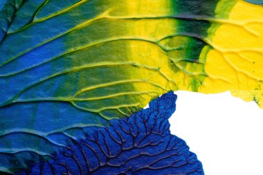 mavi yeşil soyut akrilik boya renk dokusu beyaz kağıt arkaplan üzerinde rorschach mürekkep lekesi yöntemi kullanılarak