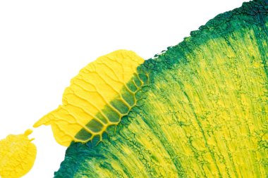 mavi yeşil soyut akrilik boya renk dokusu beyaz kağıt arkaplan üzerinde rorschach mürekkep lekesi yöntemi kullanılarak