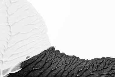 beyaz kağıt arkaplan üzerinde siyah beyaz soyut akrilik boya renk dokusu rorschach mürekkep lekesi yöntemi kullanarak