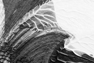 beyaz kağıt arkaplan üzerinde siyah beyaz soyut akrilik boya renk dokusu rorschach mürekkep lekesi yöntemi kullanarak