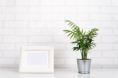Beyaz çerçeve oluşturun ve raftaki ya da masadaki bir saksıdaki bitki örtüsünü kabul edin. Minimalist İskandinav tarzı iç mekan. Boş kopyalama alanı, metin veya tasarımınız için yer.