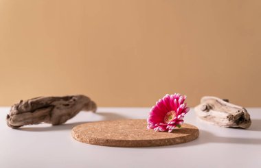 Yuvarlak geometrik şekilli tahta kürsü, çiçek ve ahşap. Ürün ve malları sergilemek için boş bir vitrin. Kozmetik ve eko ürün sunumu için minimalist bileşim doğal bej 