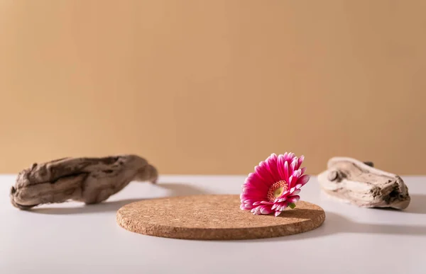 Yuvarlak geometrik şekilli tahta kürsü, çiçek ve ahşap. Ürün ve malları sergilemek için boş bir vitrin. Kozmetik ve eko ürün sunumu için minimalist bileşim doğal bej 