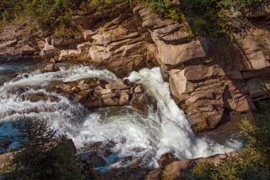 Ormanda küçük bir şelale