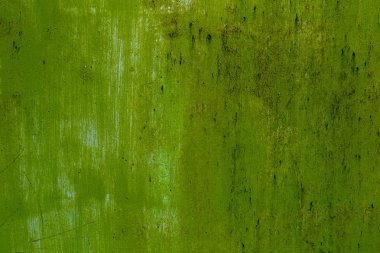 yeşil duvar dokusu