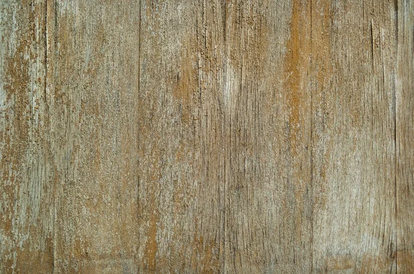 Trä naturlig textur — Stockfoto