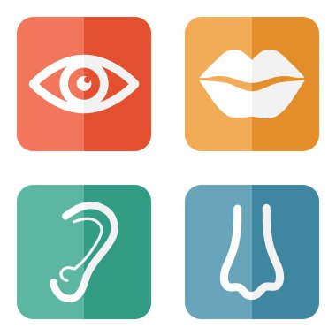 vücut parçaları koleksiyonu.