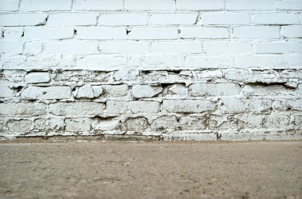 Muro de ladrillo grunge vacío con planta baja —  Fotos de Stock