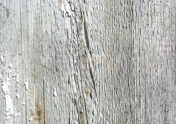 Old painted wood white background of barn door texture — Stock Photo, Image