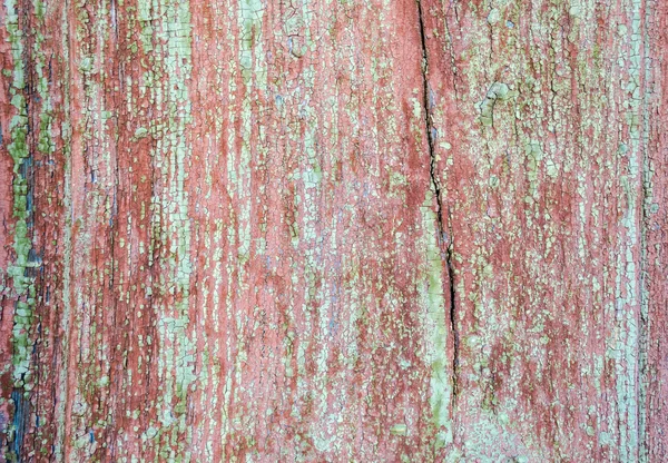 Old painted wood background of barn door texture — Stock Photo, Image