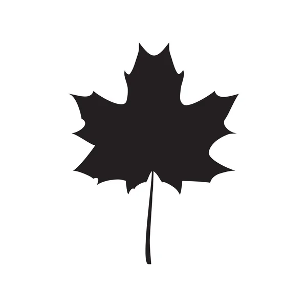 Illustration vectorielle feuille d'érable noire — Image vectorielle
