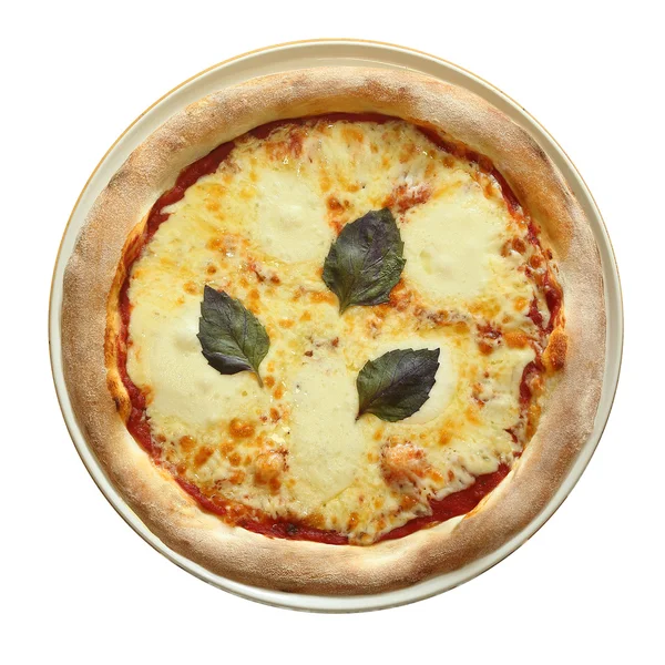 Pizza Margarita z bazylii Obraz Stockowy
