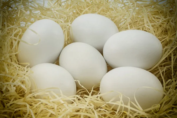 Close-up white chicken eggs on a bed of straw — Stock Photo, Image