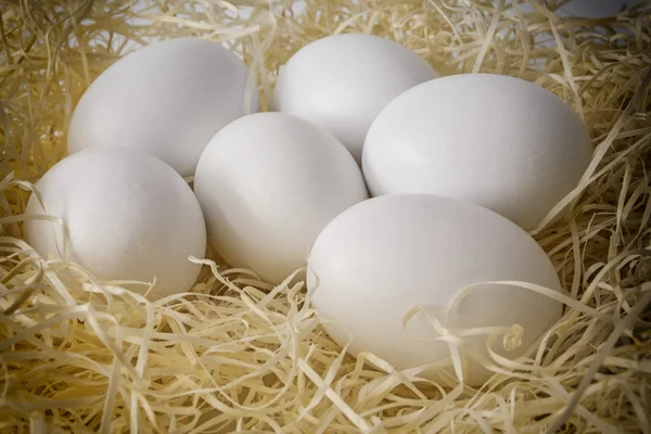 Close-up white chicken eggs on a bed of straw — Stock Photo, Image