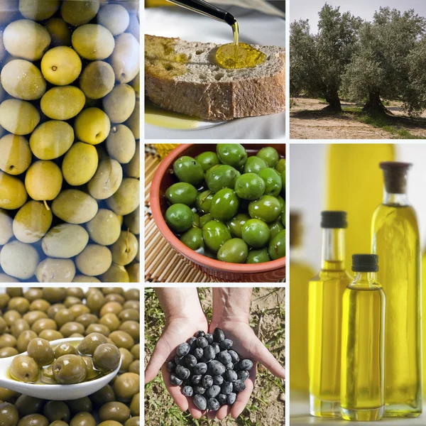 Olive harvest collage made of seven images. Freshly harvested ol — Stock Photo, Image