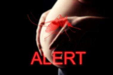 Hamile kadın, zika virüsü için yakın tehlike, Uyarı