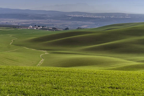 Paisagem montanhosa de grama verde durante a primavera, Andaluzia, S — Fotografia de Stock