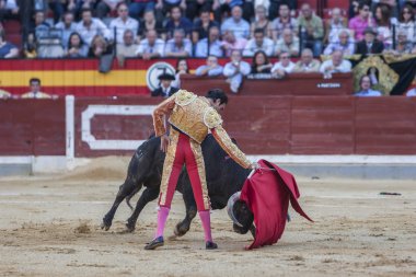 İspanyol Boğa Güreşçisi Enrique Ponce boğa güreşi 