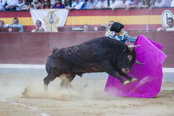 イワン・フォンディノは、ケープと勇敢な雄牛と戦う — ストック写真