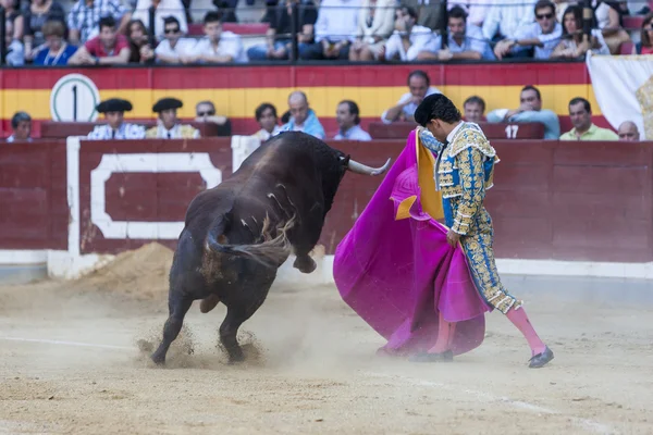 Ivan Fandino lutando com a capa um touro corajoso — Fotografia de Stock