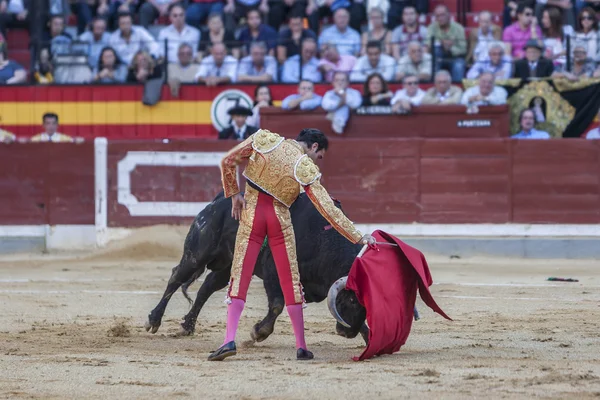 The Spanish Bullfighter Enrique Ponce bullfighting — Stock Photo, Image