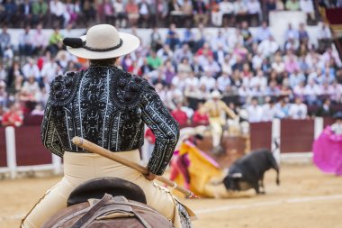 Picador Boğa güreşçisi, işi boğa'nın zayıflamaya olan lancer 