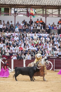 Picador Boğa güreşçisi, işi boğa'nın zayıflamaya olan lancer 