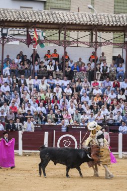 Picador Boğa güreşçisi, işi boğa'nın zayıflamaya olan lancer 