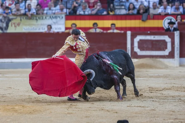 Den spanska tjurfäktare Enrique Ponce tjurfäktning — Stockfoto