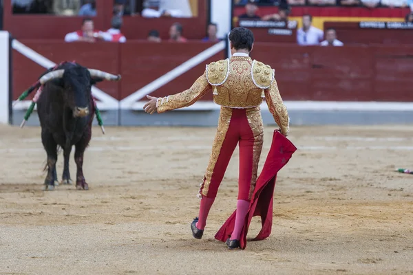 The Spanish Bullfighter Enrique Ponce bullfighting — Stock Photo, Image