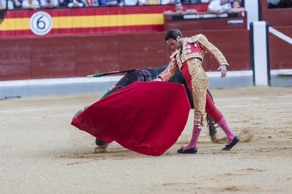 Španělský Bulhač Enrique Ponce, býčí zápasy — Stock fotografie