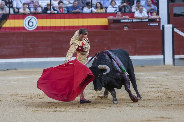 Hiszpański bullfighter Enrique Ponce walki byków — Zdjęcie stockowe