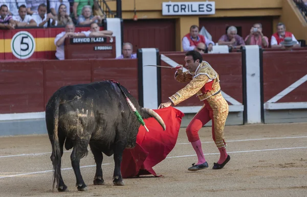 The Spanish Bullfighter Enrique Ponce prepares to kill a bull — Stock Photo, Image