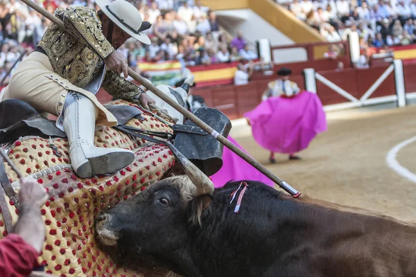 Picador torero, lancero cuyo trabajo es debilitar el toro — Foto de Stock
