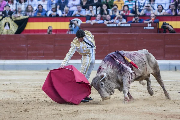De Spaanse Bullfighter Cayetano Rivera stierenvechten — Stockfoto