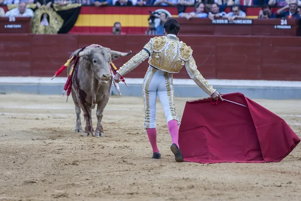 Der spanische Stierkämpfer Cayetano Rivera Stierkampf — Stockfoto