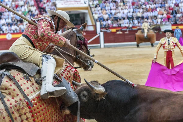Picador tjurfäktare, lancer vars jobb det är att försvaga Bulls nec — Stockfoto
