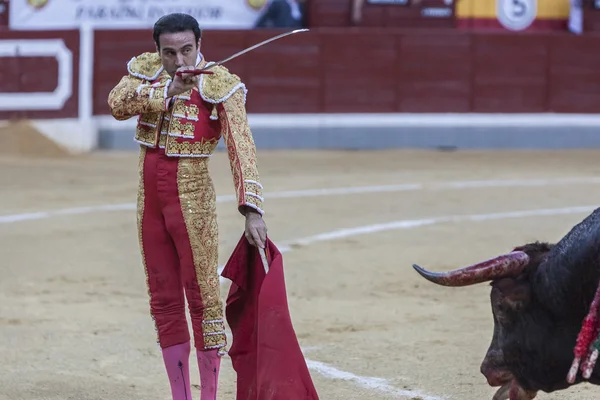 İspanyol Boğa Güreşçisi Enrique Ponce bir boğa öldürmeye hazırlanıyor — Stok fotoğraf