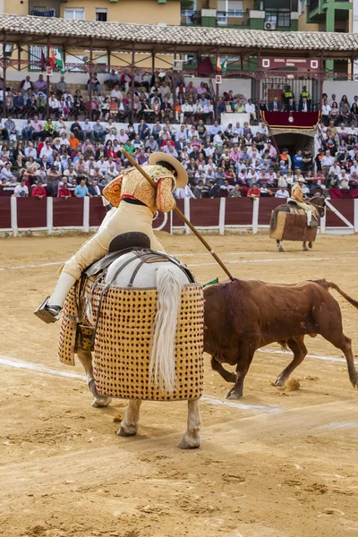 Picador torero, lancero cuyo trabajo es debilitar el toro —  Fotos de Stock